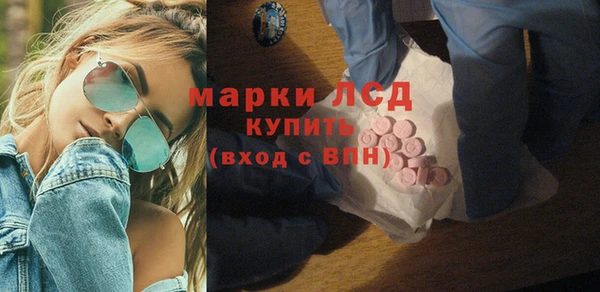spice Аркадак
