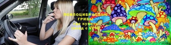 таблы Арсеньев