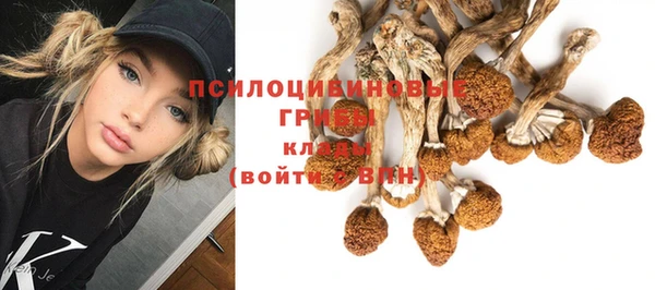 таблы Арсеньев
